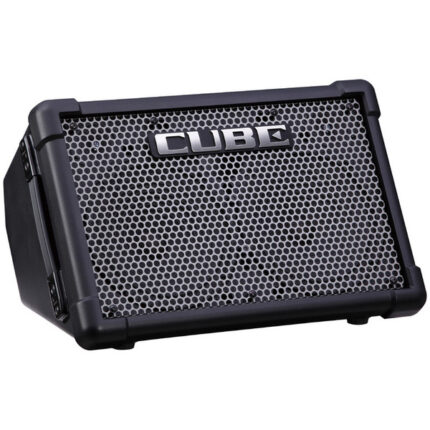 Roland CUBE Street EX Battery Powered Stereo Amplifier